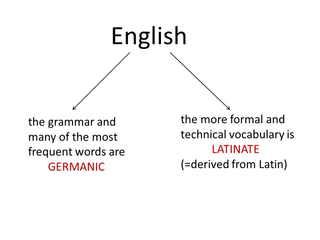 English the grammar and many of the most frequent words are GERMANIC the more
